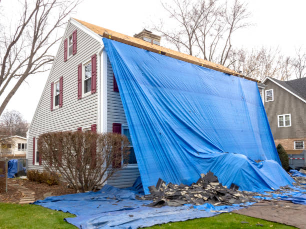 Best Siding Removal and Disposal  in Plantation, FL